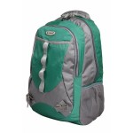 Aqsa ALB54 Stylish Laptop Bag (Green and Grey)